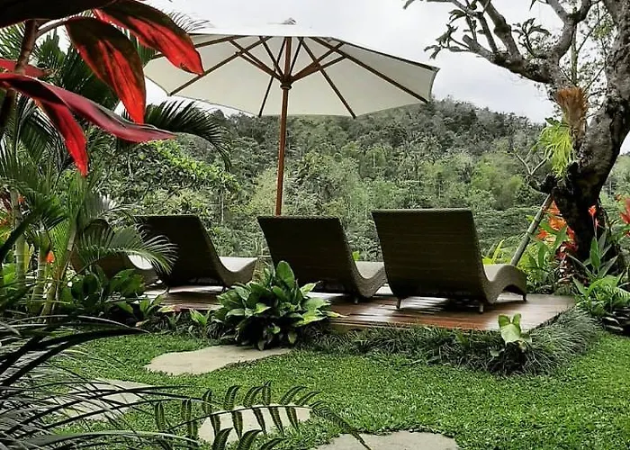 The Villa *